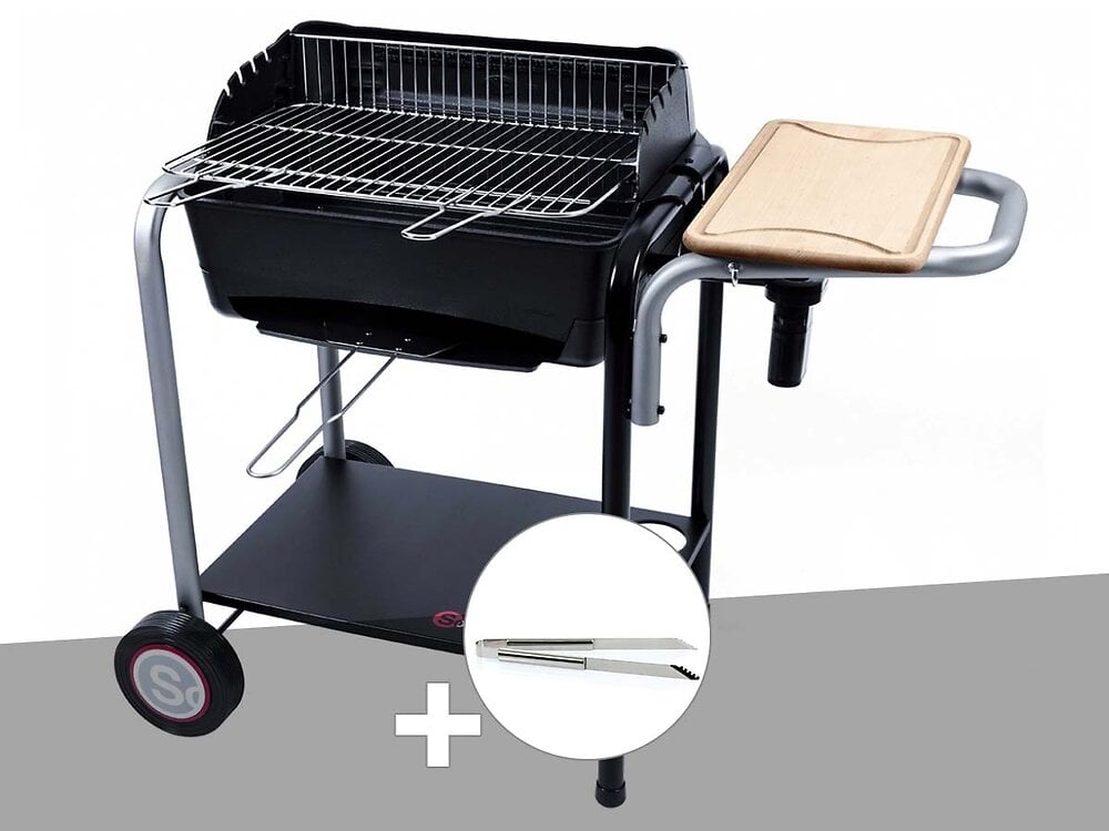 Barbecue Charbon Roma Somagic Pince Inox Bricorama