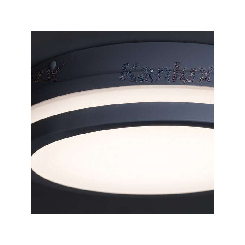 Plafonnier LED 18W 1550lm Rond Ø220mm 55mm IP54 Noir Blanc Froid