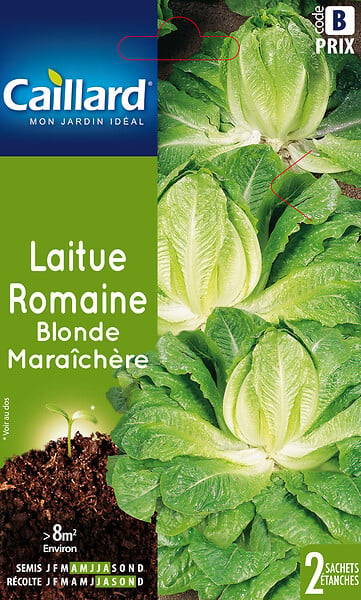 Laitue Romaine Blonde Mara Ch Re Bricorama