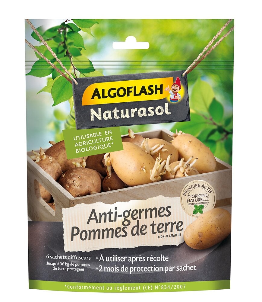 Anti Germ De Pomme De Terre Gr Bricorama