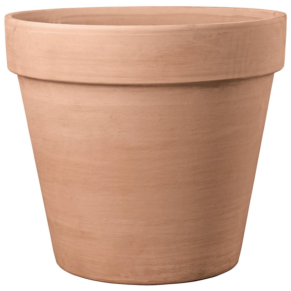 Pot En Terre Cuite Ros E Vaso Magno White Cm Bricomarch