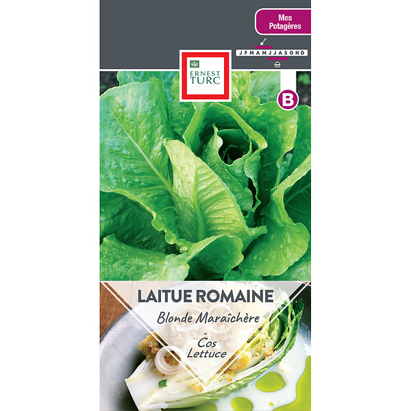 LAITUE ROMAINE BLONDE MARAICHERE Bricomarché