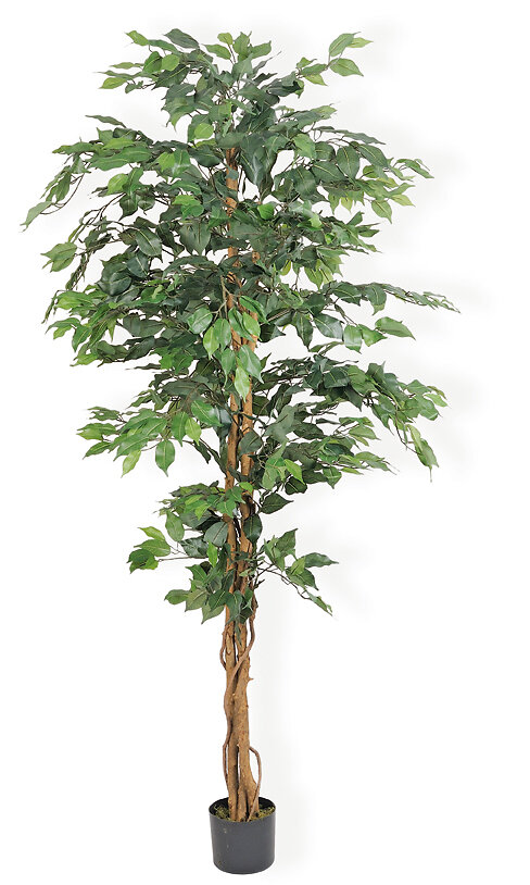 AD JARDIN - Ficus artificiel à 1008 feuilles 180cm vert - large