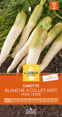 Carotte blanche a collet vert hors terre LA SEMEUSE | Bricomarché