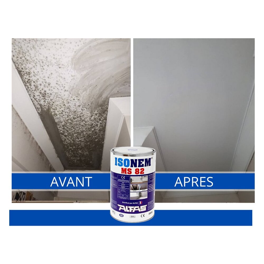 Peinture et Traitement Anti Humidité Anti Moisissure Anti Condensation Alfas ISONEM MS
