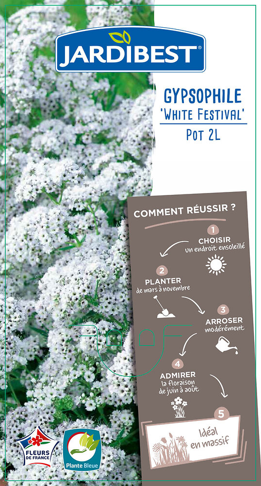 JARDIBEST - Gypsophile white festival - large