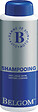 BELGOM - BELGOM - Shampooing 500CC biodégradable - 010500 - vignette