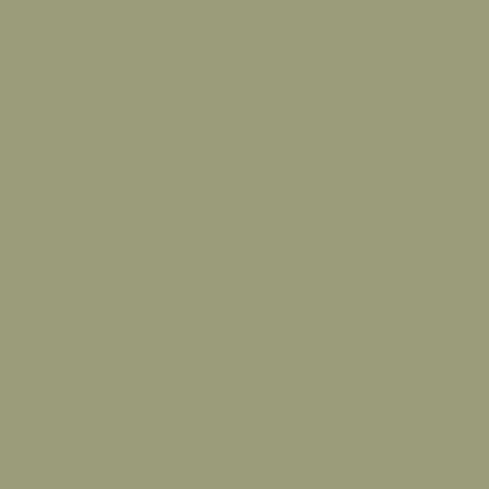 LIBERON - Peinture meuble Caséine Mat Vert de Gris Pot 75ml - large