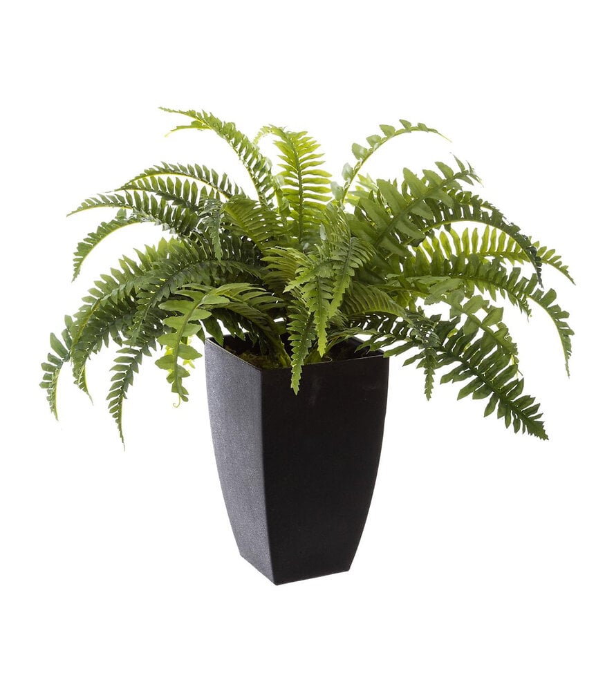 Plante artificielle Fougères en pot H 55 cm Bricorama