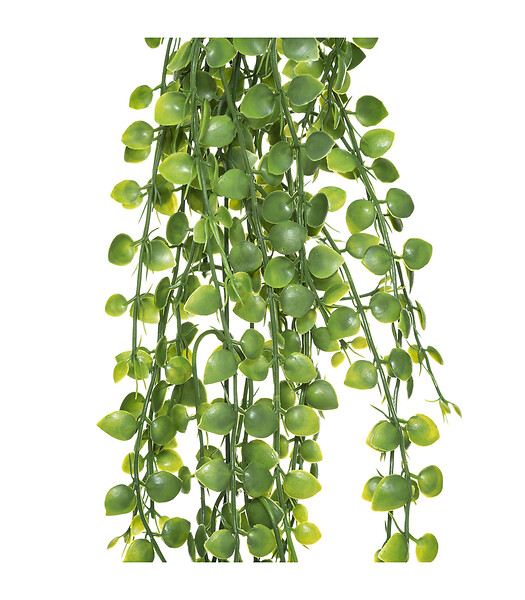 Plante artificielle tombante H 75 cm