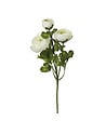 ATMOSPHERA - Fleur artificielle Tige Renoncule blanche H 60 cm - vignette
