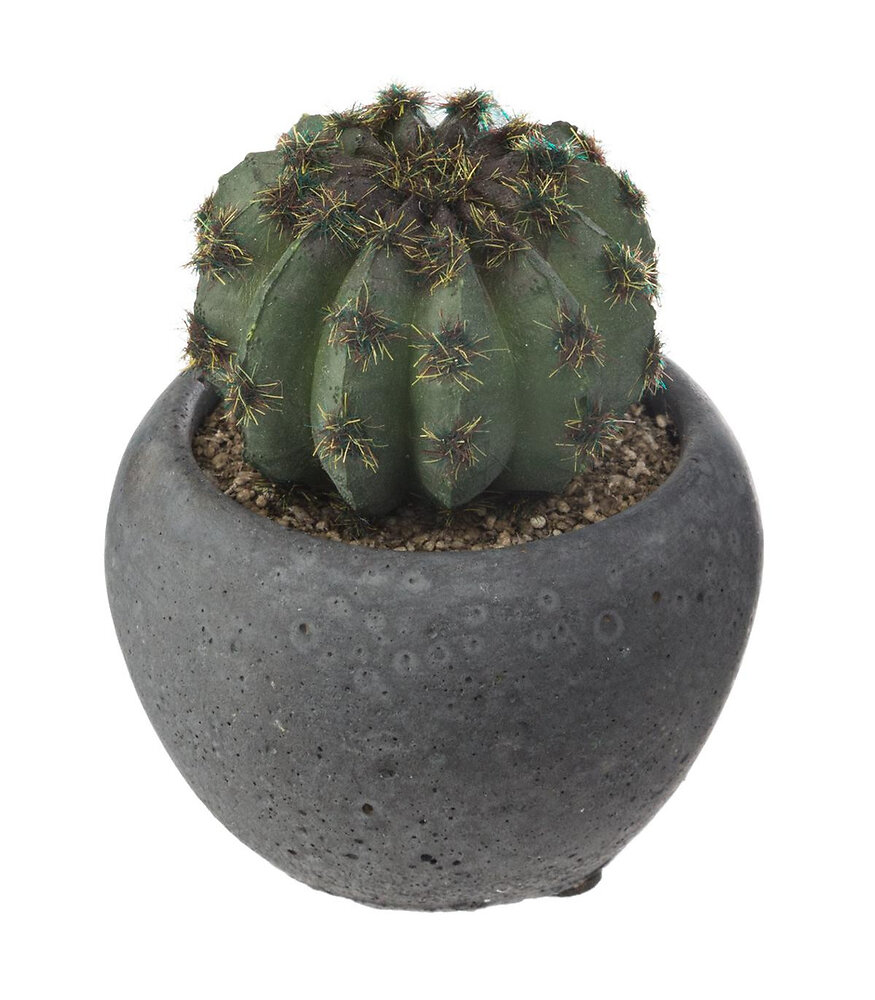 ATMOSPHERA - Plante artificielle Cactus en pot D 6 cm - large