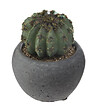 ATMOSPHERA - Plante artificielle Cactus en pot D 6 cm - vignette