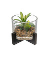 ATMOSPHERA - Plante artificielle Pot en verre sur support en bois H 12 cm - vignette