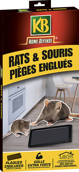 2 Pièges à glu - Rats et souris - Prêt à l'emploi - CAUSSADE