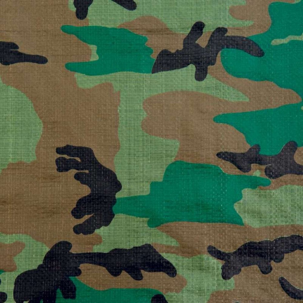 WERKAPRO - Bâche camouflage 130g/m2 Werkapro 2x3m - large
