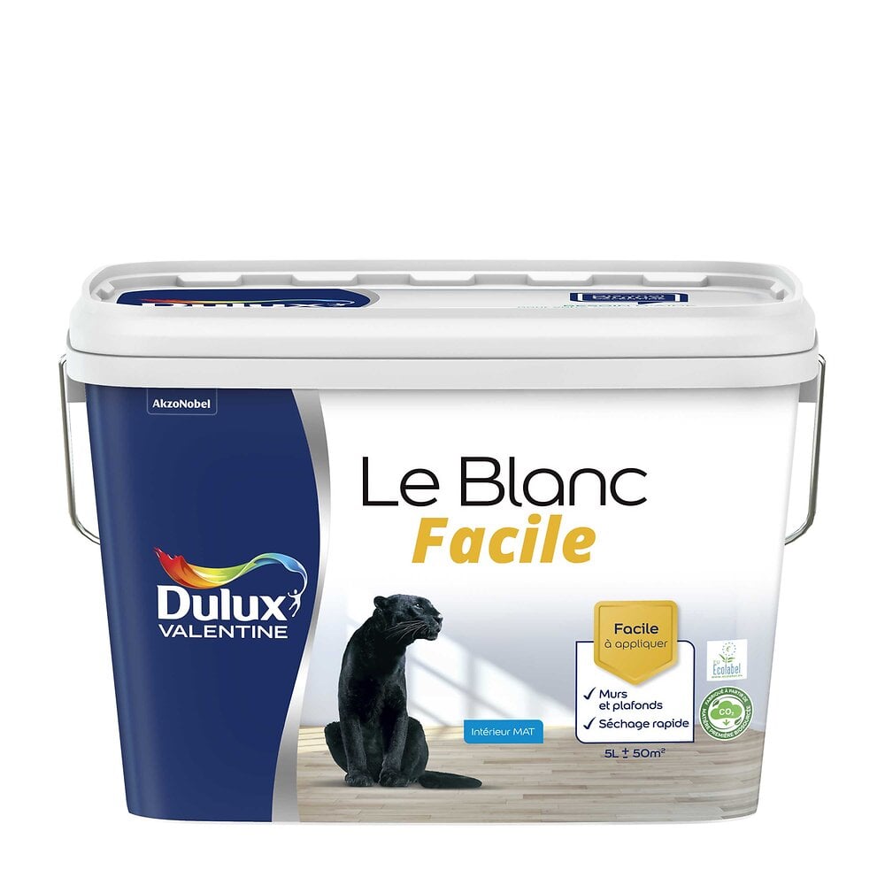 Pintura De Exterior Peinture Dulux Valentine : Quelle Peinture De La Marque  Choisir ? - Sud Pintura Exterior Fachadas, image size:1000x1000