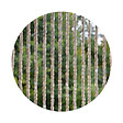CONFORTEX - Rideau portière Wood Natural CONFORTEX pour porte - 90 x 220 cm - beige - vignette