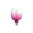 XXCELL - Ampoule LED décorative pourpre XXCELL - 4 W - 170 lumens - 2000 K - E27 - vignette