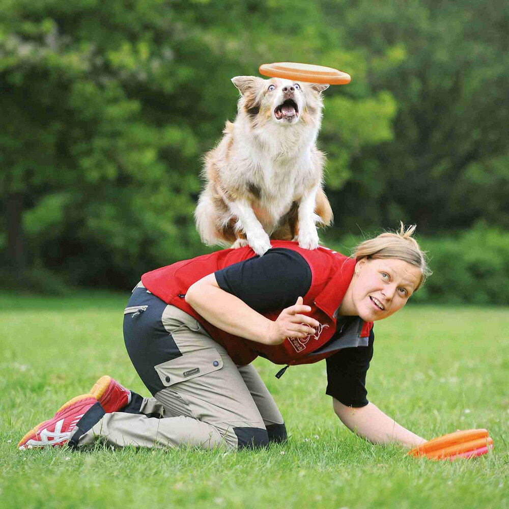 frisbee, disque d'activité "dog disc " ø 23 cm pour chien
