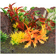 ANIMALLPARADISE - Décoration roche et plante, 42,5 x 23 x 9,5 cm, aquarium, - vignette