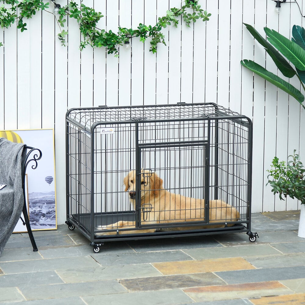 Cage de transport pour chien taille L dim. 76L x 48l x 55H cm