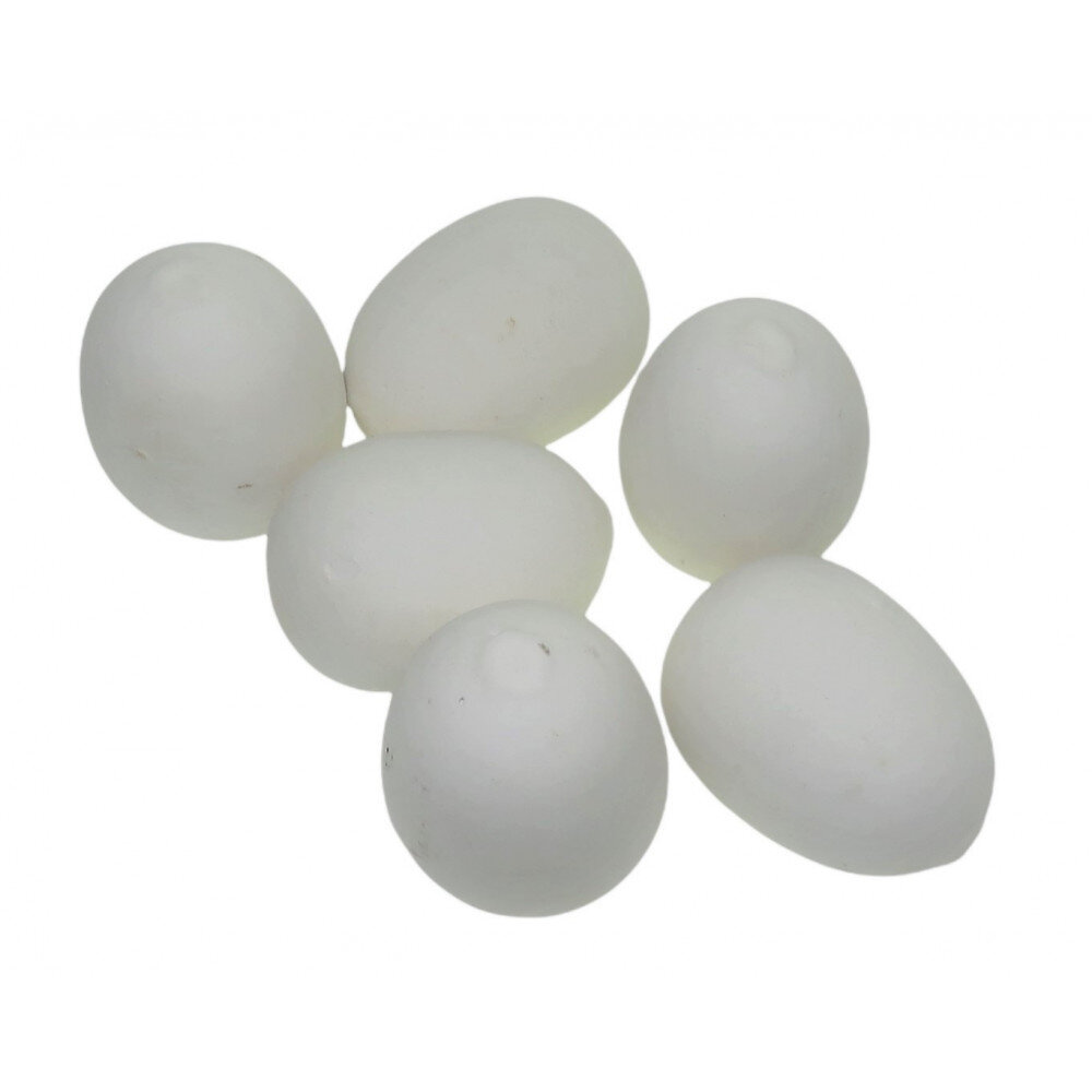 ANIMALLPARADISE - 6 Œufs factice en plâtre pour poule, couleur blanc. - large