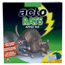 Appât Rats/Souris blocs 10x30gr - PROTECT EXPERT - Mr.Bricolage