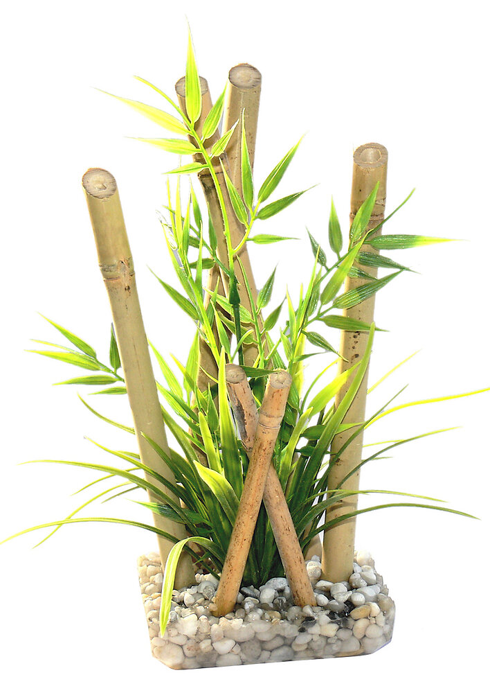 SYDECO - Tyrol bambou large plantes pour aquarium - large