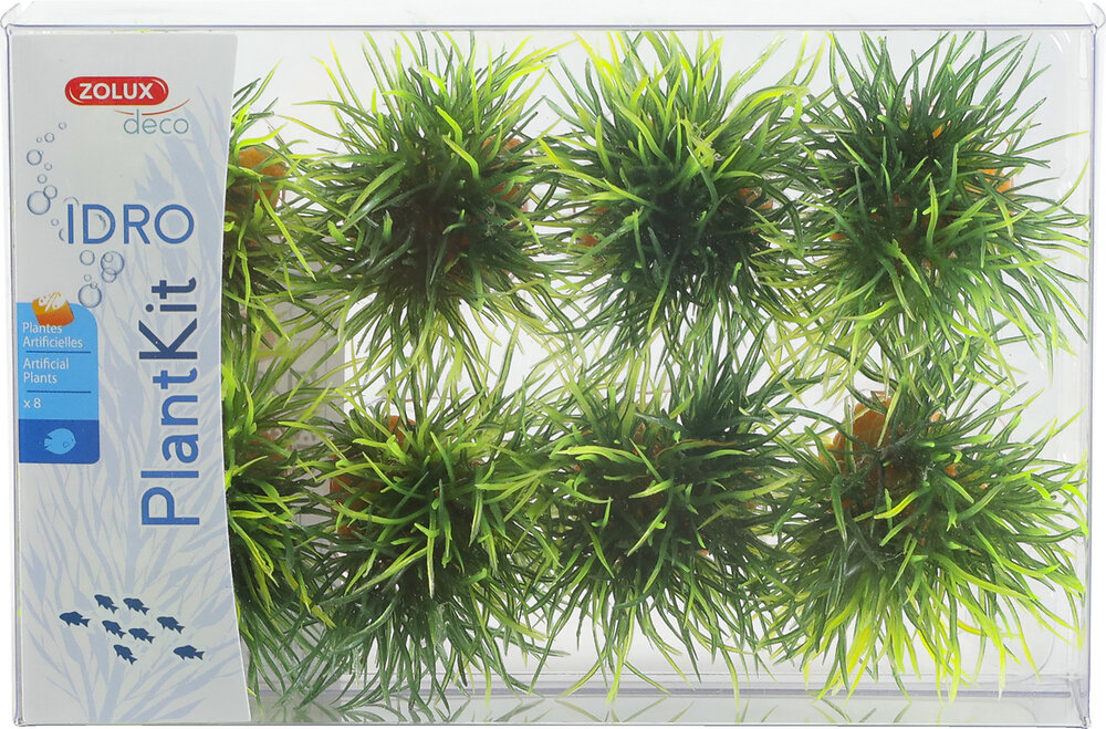ZOLUX - Plantkit idro small plant x8 pour aquarium - large