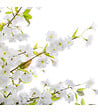 ATMOSPHERA - Plante artificielle Cerisier Blanc dans son Pot H 200 cm - vignette