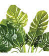 ATMOSPHERA - Plante artificielle Philodendron en pot H 70 cm - vignette