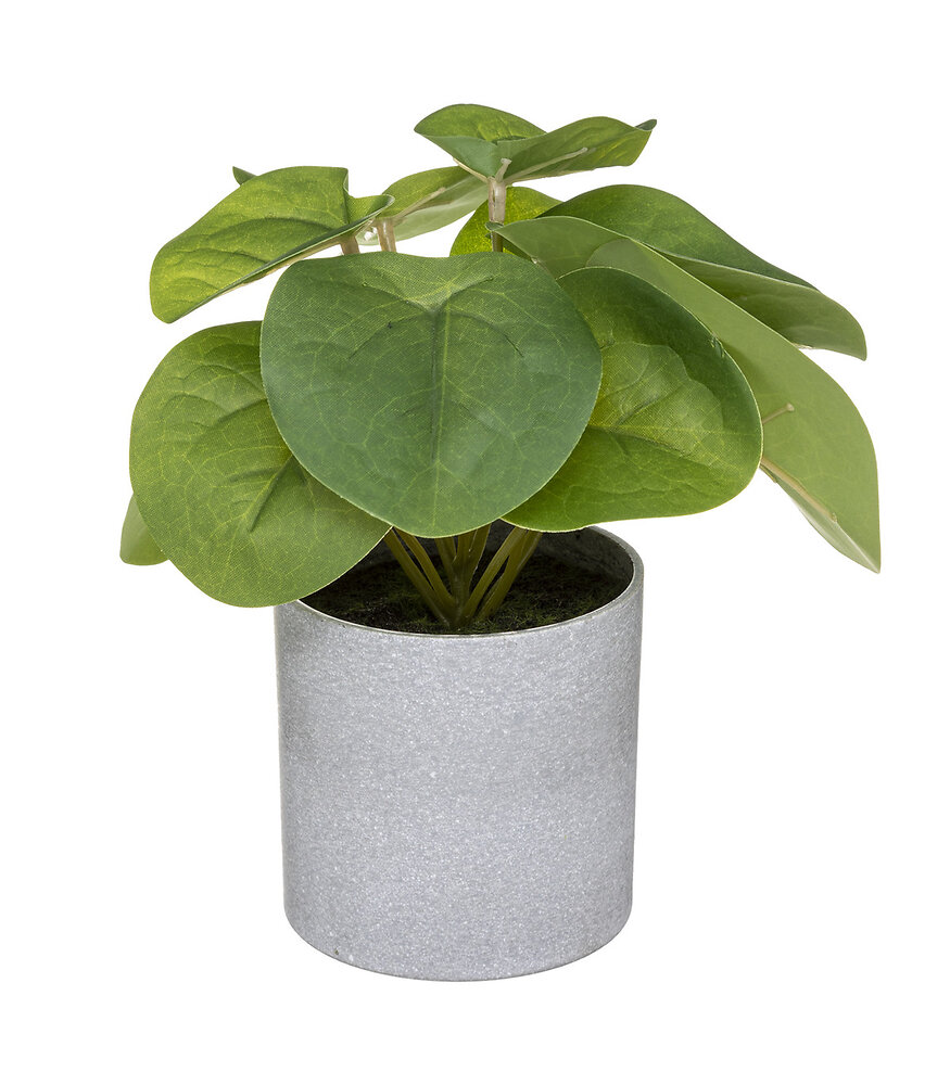 ATMOSPHERA - Plante verte artificielle en pot H 18 cm - large