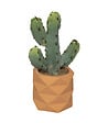ATMOSPHERA - Plante artificielle Cactus en Pot Céramique H 24 cm - vignette