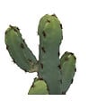ATMOSPHERA - Plante artificielle Cactus en Pot Céramique H 24 cm - vignette