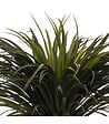ATMOSPHERA - Plante artificielle Yucca en pot H 150 cm - vignette