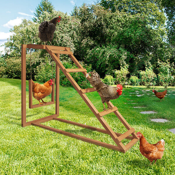 Poulailler 4 poules en bois 1,5 m² Cassie - Forest Style