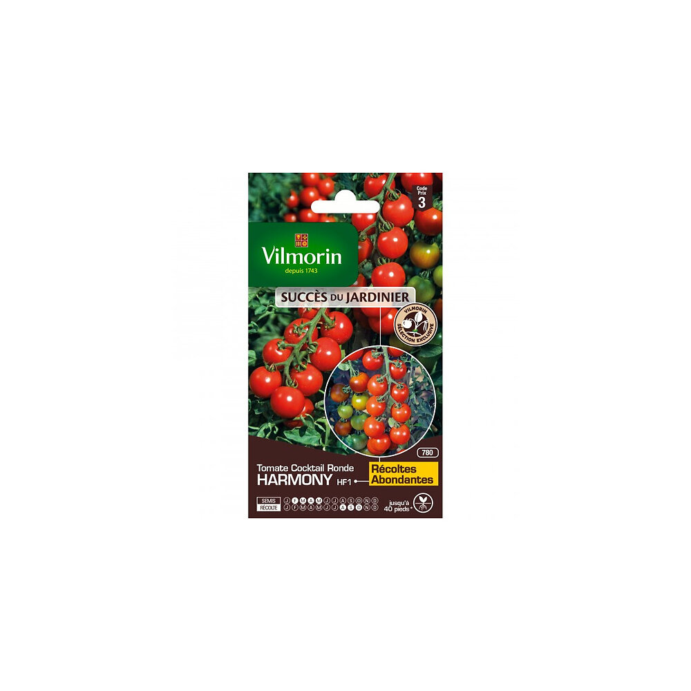 VILMORIN - Sachet graines Tomate Harmony HF1 - large
