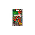 VILMORIN - Sachet graines Tomate Harmony HF1 - vignette