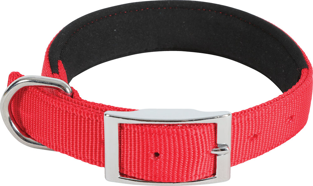 collier nylon conf 65cm-25mm rouge pour chien
