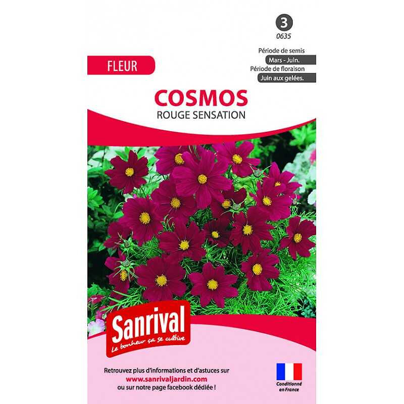 SANRIVAL - Graines Cosmos Rouge Sensation - large