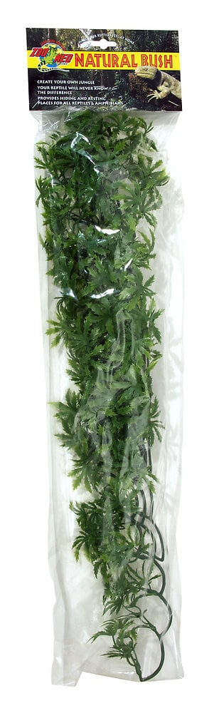ZOOMED - Plante cannabis grand modele bu36e - large