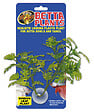 ZOOMED - Betta plant - window leaf bp25 - vignette