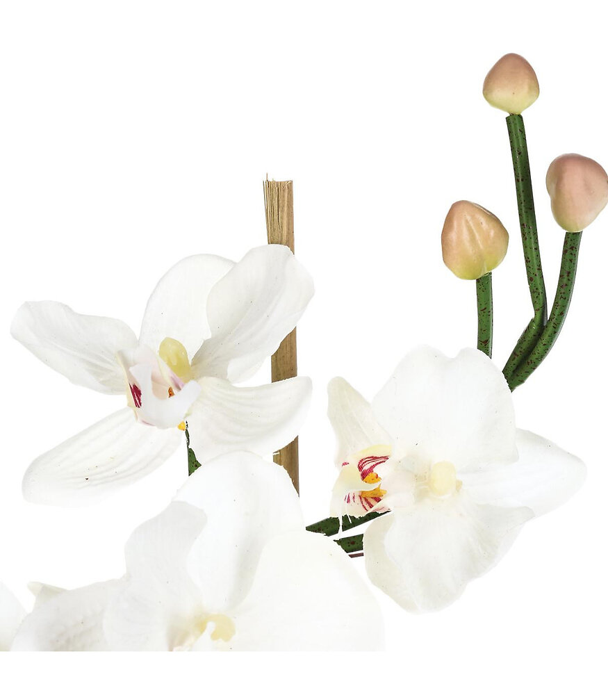 ATMOSPHERA - Composition florale artificielle Orchidées dans un vase en verre H 37 cm - large