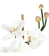 ATMOSPHERA - Composition florale artificielle Orchidées dans un vase en verre H 37 cm - vignette