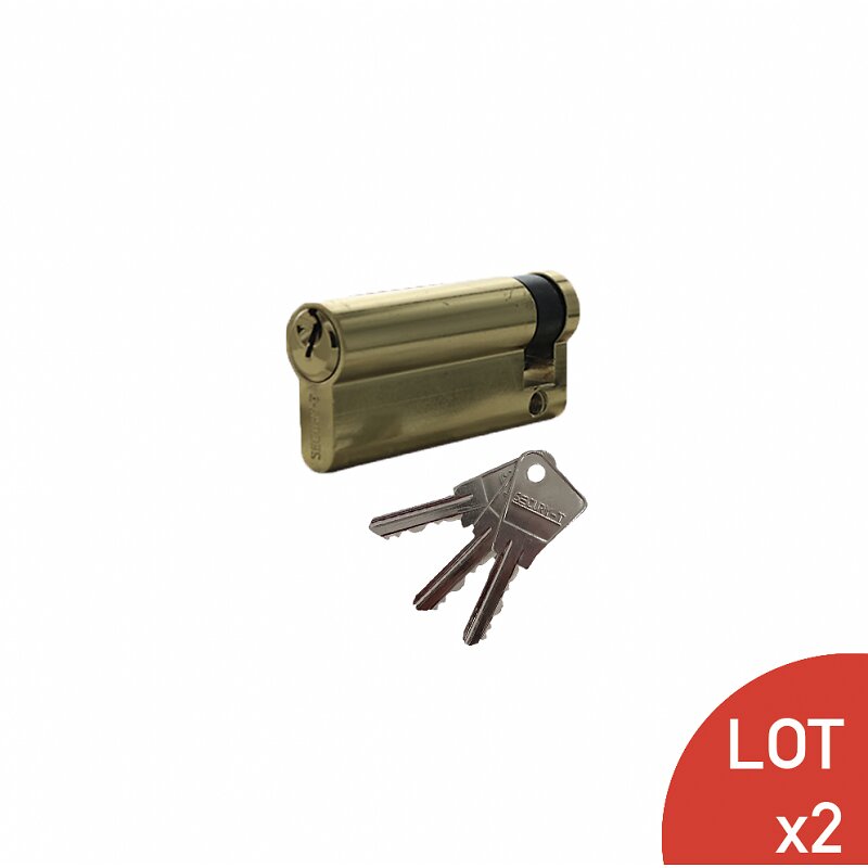 SECURY-T - Demi-cylindre varié en laiton poli + 3 clés 70mm (55+10+5) SECURY-T Monaco - large