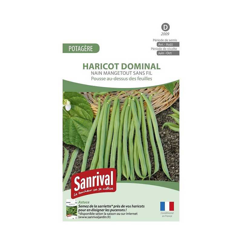 SANRIVAL - Graines Haricot Sansoucy Mangetout Sans Fil - large