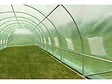 HABITAT ET JARDIN - Serre tunnel de jardin "Althea" - 30m² - 10 x 3 x 2 m - vignette