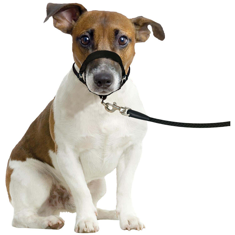 FLAMINGO PET PRODUCT - Harnais de dressage de tête museliere- noir XS - pour chien - large