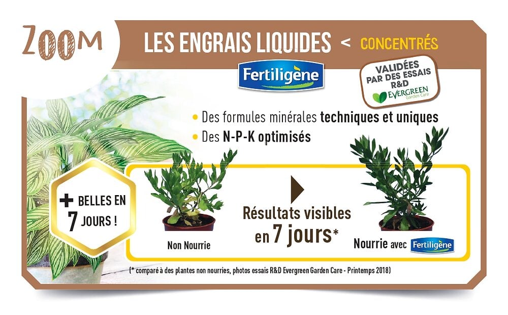 FERTILIGEN - Engrais agrumes et oliviers UAB Fertiligène - 750 ml - large